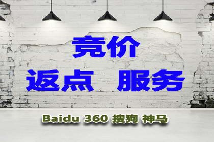百度竞价公司成功案例揭秘：如何快速提升品牌曝光度